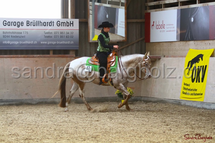 31-ApHC OWP_038.jpg